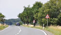 Wildwechsel